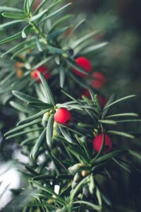 Foto von Adam Przeniewski auf Unsplash