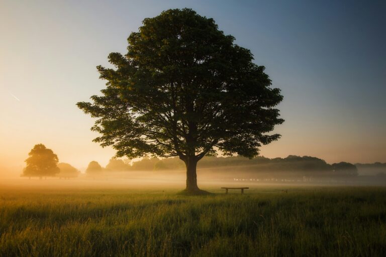 Foto von Simon Wilkes auf Unsplash